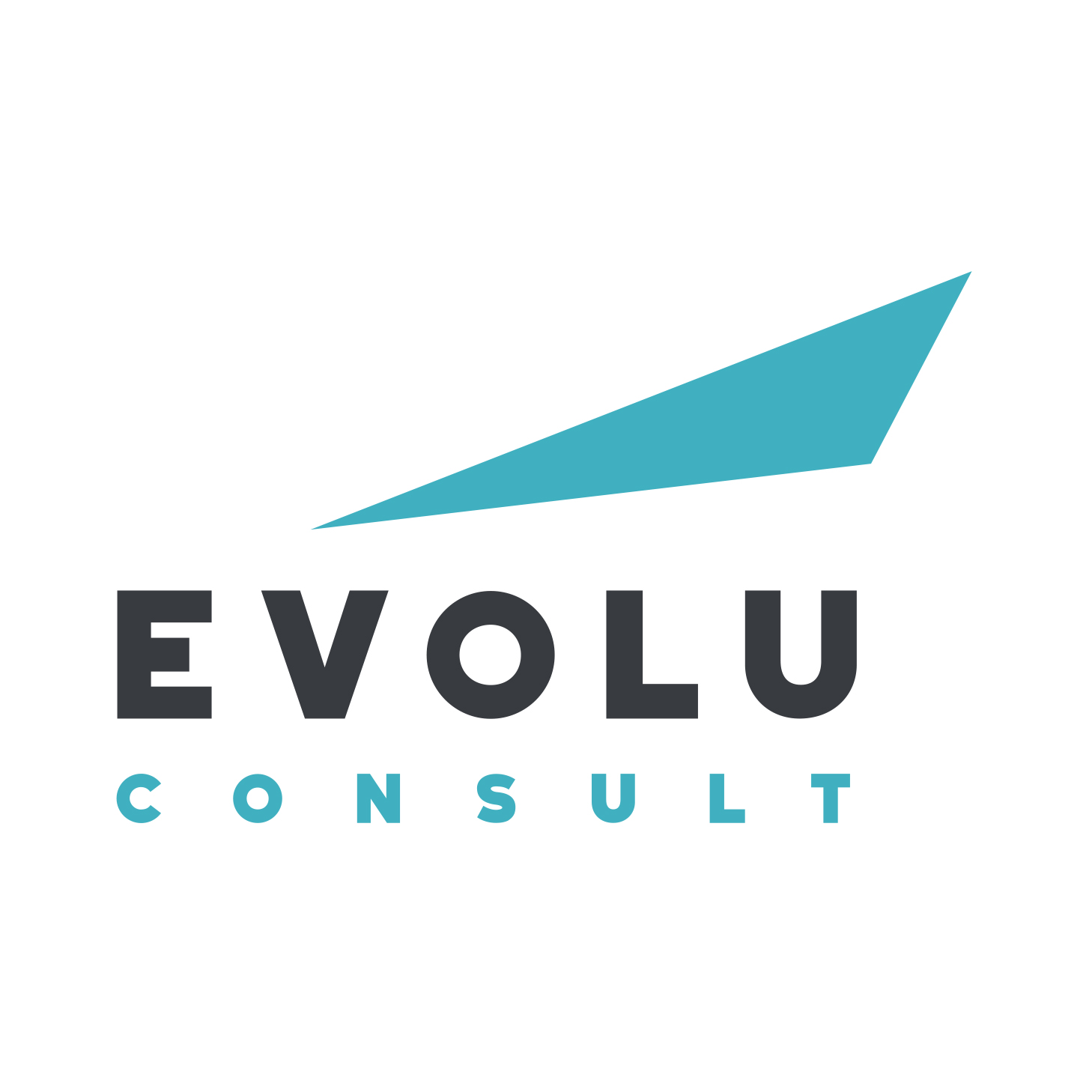 Firmenlogo Evoluconsult GmbH